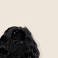 Kiara Certified Freak Pull-Me Ponytail 20"