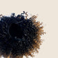Kiara: Got This Ring Pull-Me Ponytail 10"